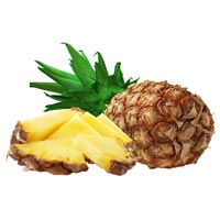 Manufacturers Exporters and Wholesale Suppliers of Fresh Pineapple penukonda Andhra Pradesh